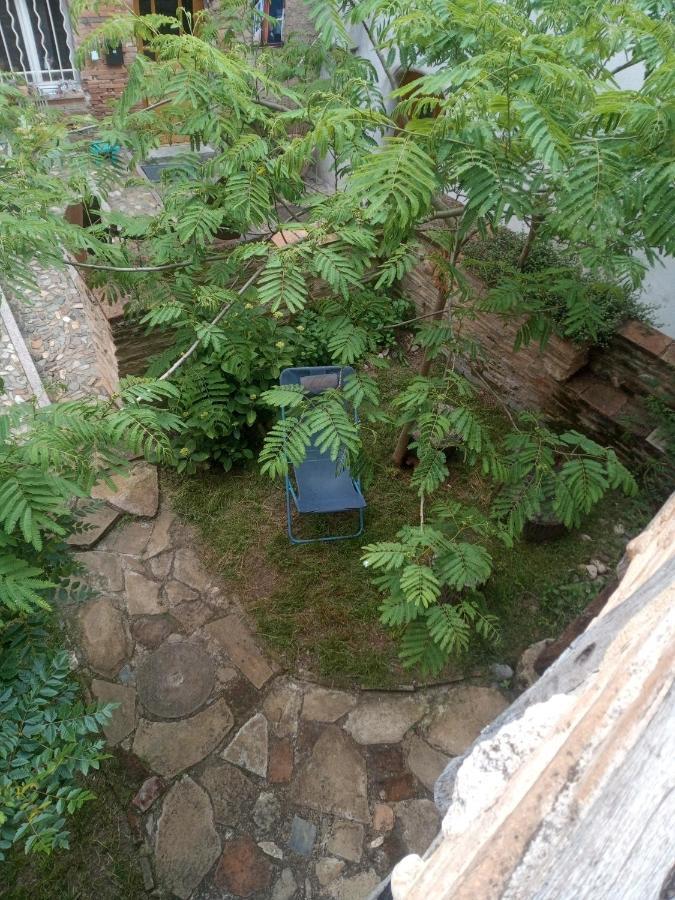 La Lauze Et L'Anguille Bed & Breakfast Gaillac Exterior photo